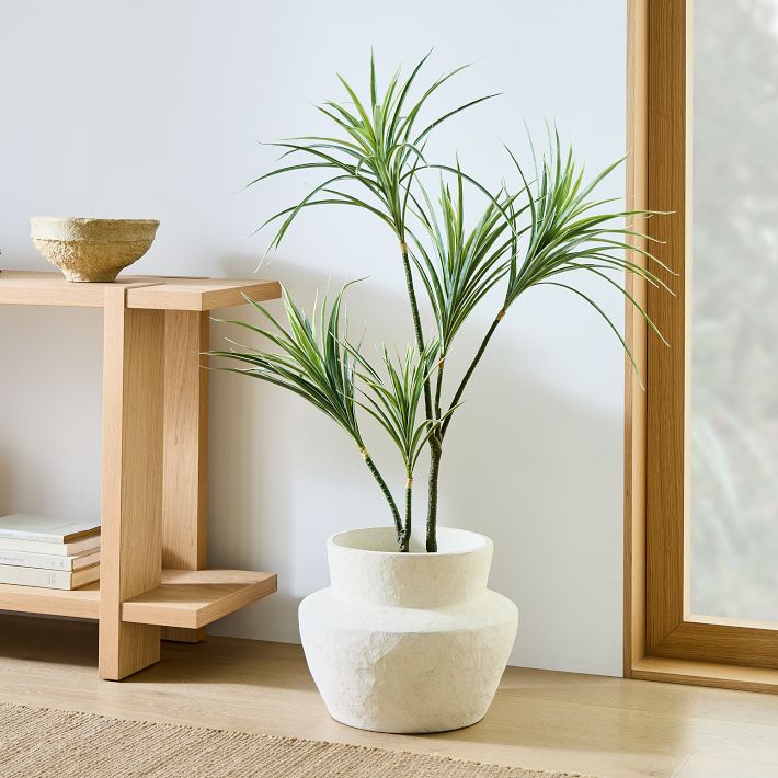 Potted Dracaena Plant & Form Studies Medium Tabletop Planter, West Elm