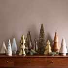 Champagne Bottlebrush Trees