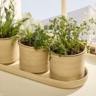 Herb Planter Trio