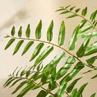 Faux Potted Fern Tree