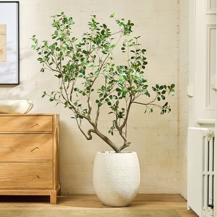 Faux Potted Manzanita Tree Decor | West Elm