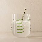 Palm Applique Glassware Collection