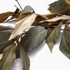 Faux Metallic Dried Eucalyptus Garland