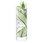 Gin Highball Glasses (Set of 2)