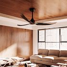 Phanie Ceiling Fan (52")
