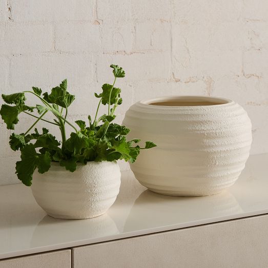 Rounded Ceramic Fluted Tabletop Planters by West Elm