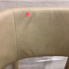 Open Box: Hyde Leather Dining Chair - Ludlow Leather Cumin, Blonde