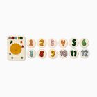 Felt Month Baby Milestone Card Set