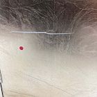 Open Box: Mid-Century Champagne Lacquer Jewelry Boxes, Large 13.5"H