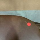 Open Box: Scooper Ash Wood Leather Counter Stool (38.75") - Sonoma Cocoa