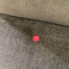 Open Box: Laurent Right-Arm 2 Seater Sofa - Performance Distressed Velvet Juniper, Blonde