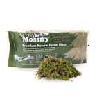 Mossify Natural Forest Moss