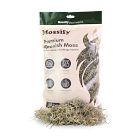 Mossify Premium Natural Spanish Moss