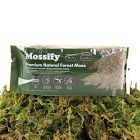 Mossify Natural Forest Moss
