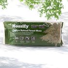 Mossify Natural Forest Moss