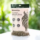 Mossify Premium Natural Spanish Moss