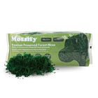 Mossify Preserved Forest Moss