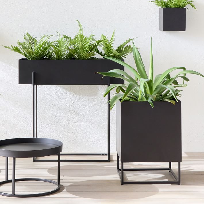 small plant pot Golden Pothos main image 0
