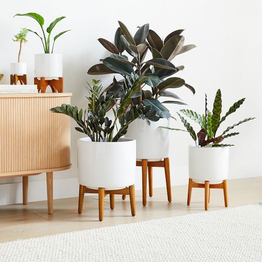 Mid-Century Turned Wood Leg Planters - Stylish Indoor Decor | West Elm