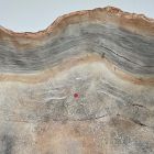 Open Box: Cast Onyx Bowl, Small (18"D)