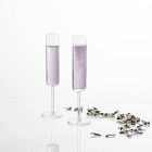 Schott Zwiesel Modo Crystal Glassware Sets