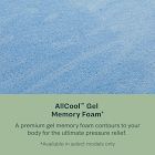 BeautySleep by Beautyrest® Slumberscape Hybrid Mattress