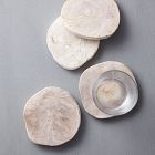 Petrified Wood Coaster Sets