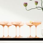 Estelle Colored Glass Champagne Coupe (Set of 6)