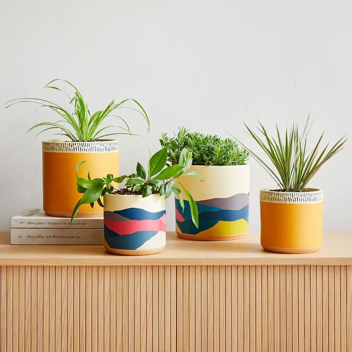 glass pot planter Amber Glass Planter and Saucer – VI Plant Shop