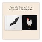 Baby's Tummy Time Book Box Set