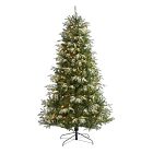 Pre-Lit Faux Snowed Grand Teton Christmas Tree (5'&ndash;7')