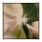 Flare Framed Wall Art by Coup D'Esprit
