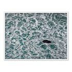 The Life Of Water Framed Wall Art by Shawn Thomas