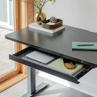 Branch Desk Drawer