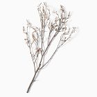 Faux Black Alder Stem