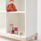 Milton &amp; Goose Bookshelf