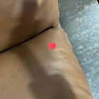 Open Box: Kinsley Leather Chair - Saddle Leather Nut, Dark Bronze