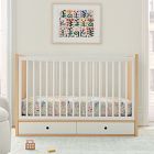 Ziggy Convertible Storage Crib