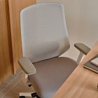 Branch Ergonomic Chair Pro
