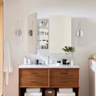 Frameless Seamless Double Wide Medicine Cabinet