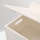 Daisy Toy Chest
