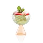 Venice Coupe Glasses (Set of 2)