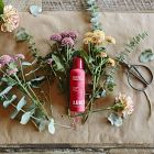 Arber Fresh Cut Flower Food