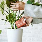 Arber Organic Soil &amp; Root Boost