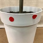 Open Box: Faux Maple Potted Tree (6') - Green
