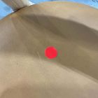 Open Box: Marcus Samuelsson Leather Dining Chair - Ludlow Leather Sesame, Blonde