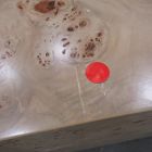 Open Box: Volume Burl Coffee Table (50") - Light Burl
