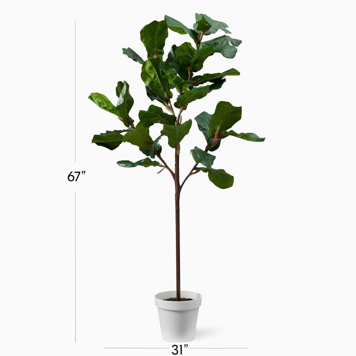 olivenbaum oliven schrumpelig Künstlicher Olivenbaum, ca. 120 cm – Schweng Shop