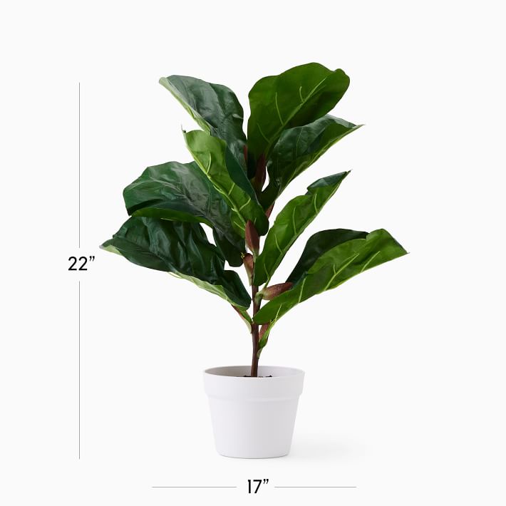 Faux Potted Fiddle Leaf Fig Trees | West Elm