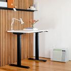 Branch Duo Standing Desk